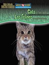 Cats Are Night Animals/Los felinos son animales nocturnos